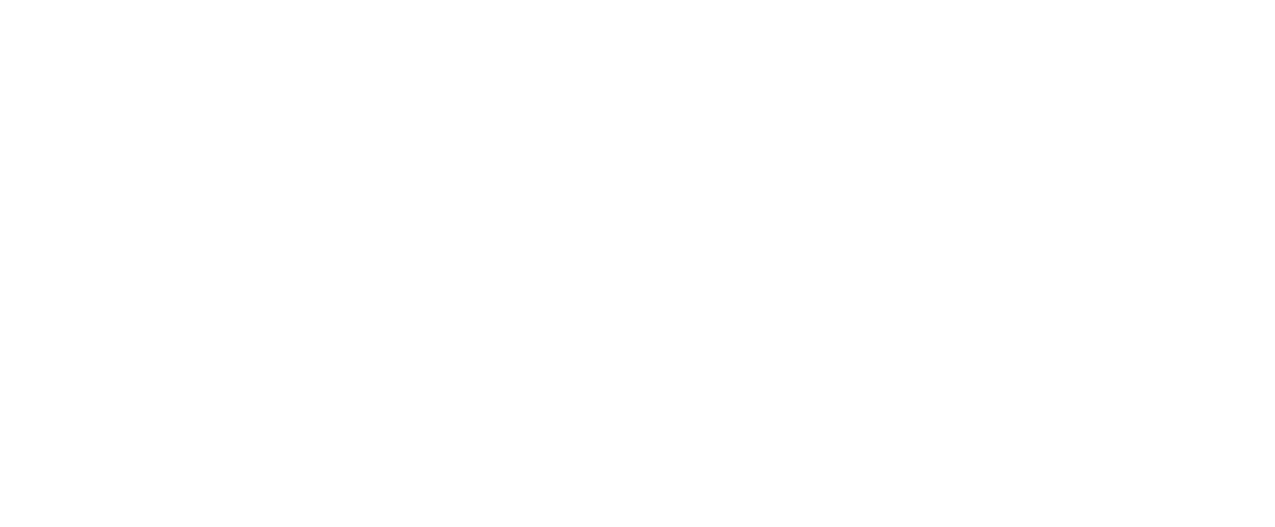 Rudhra Info Solutions Logo